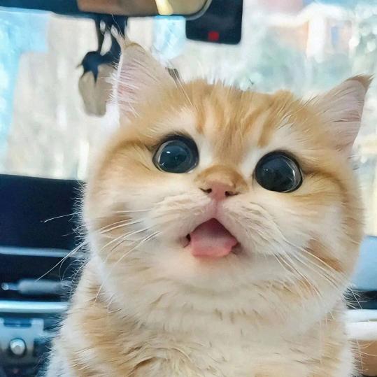 小炒快餐 广西米粉