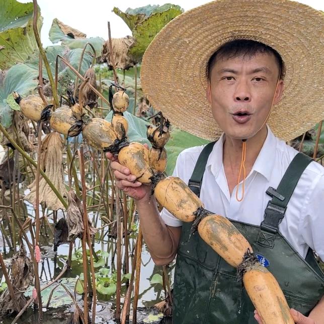 广西果果王