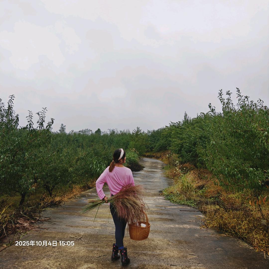 ღ᭄এ张幺妹ღ᭄এ