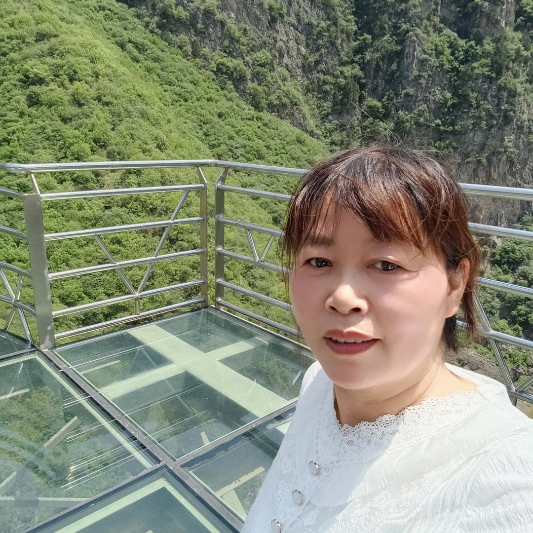 兴平胡鸽收头发