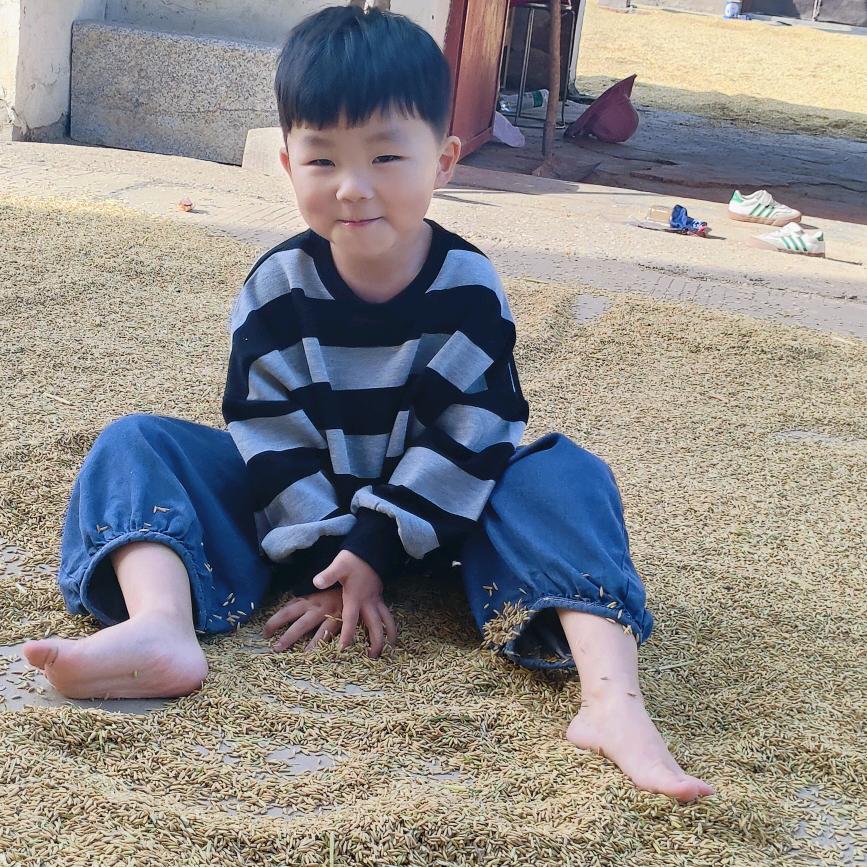 是橙子呀。