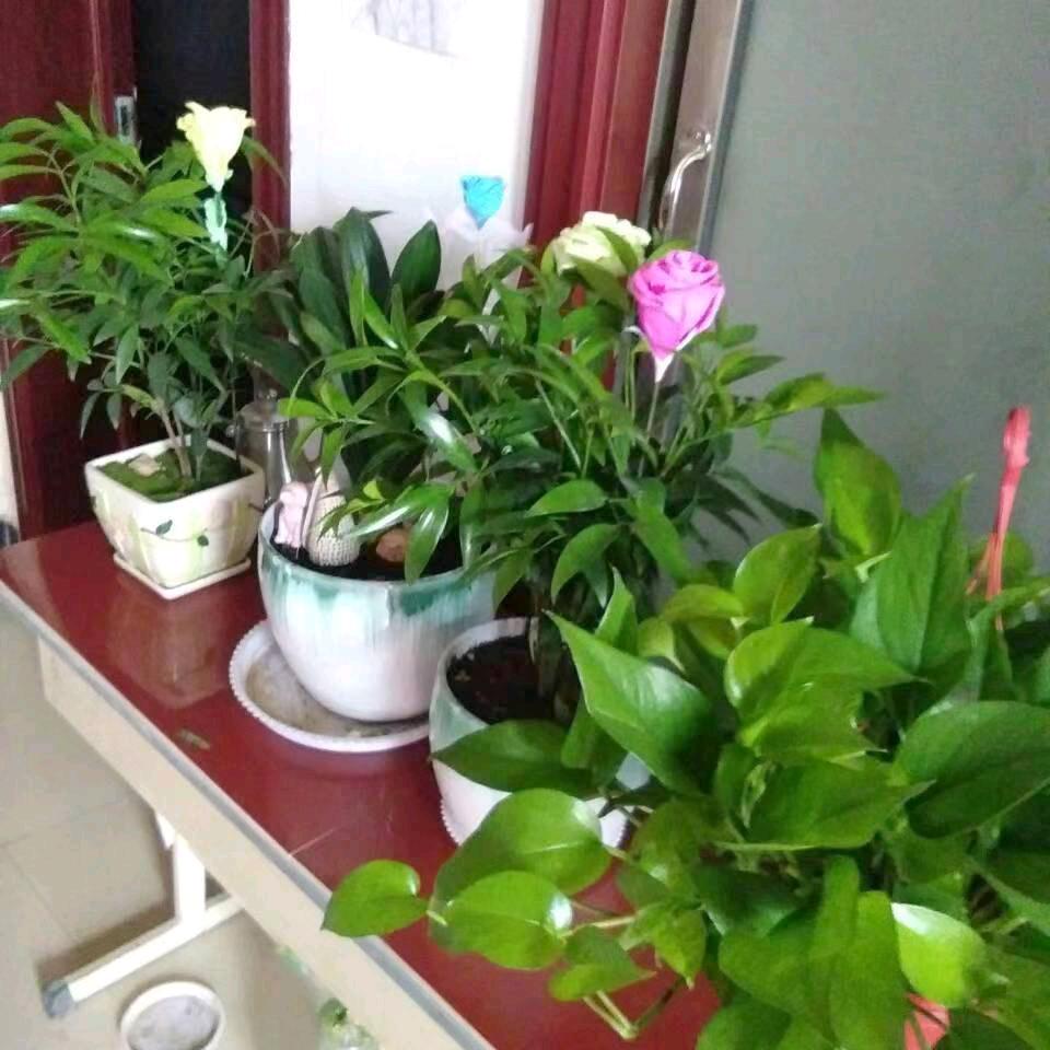 开开心心每一天