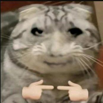 煚