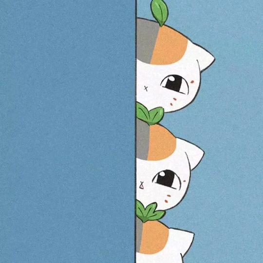 小美