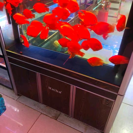 @好人一生平安