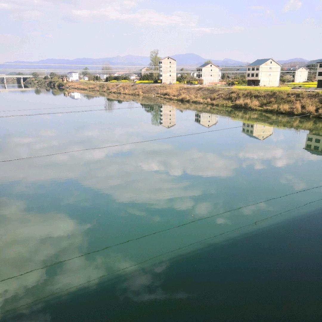 烟花漫