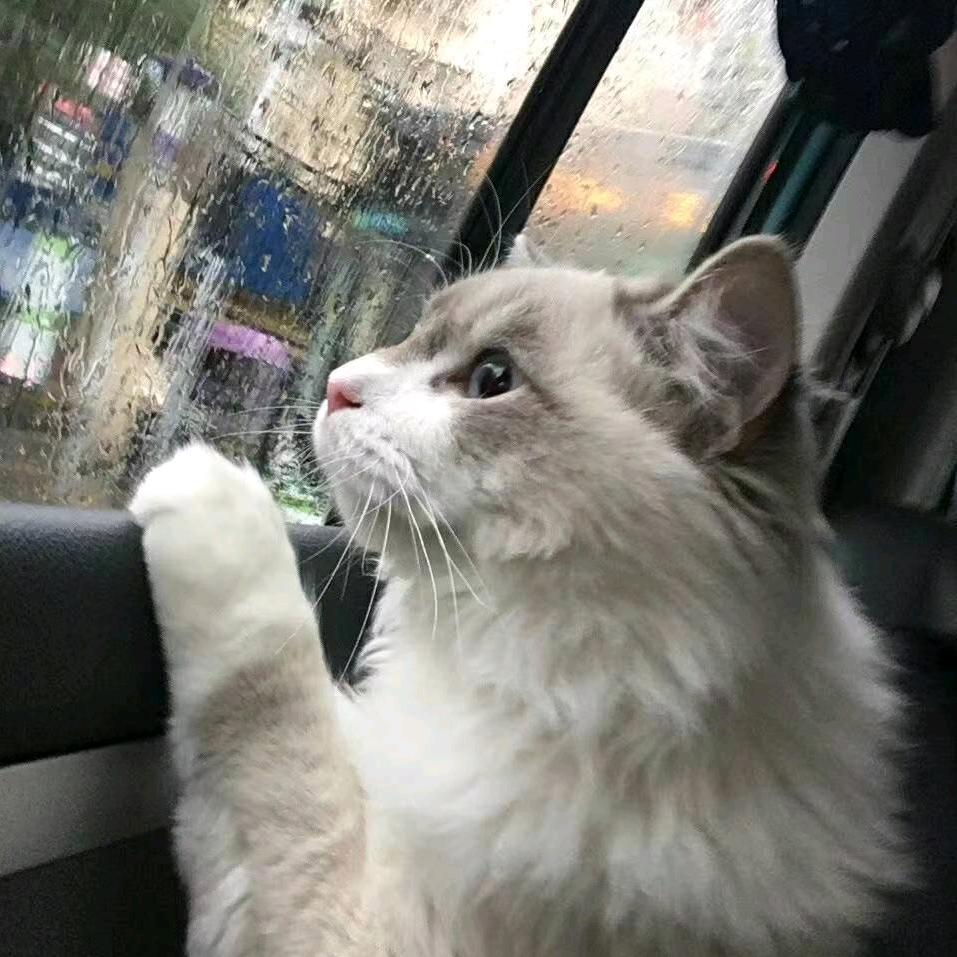 我就滋你一下怎么了