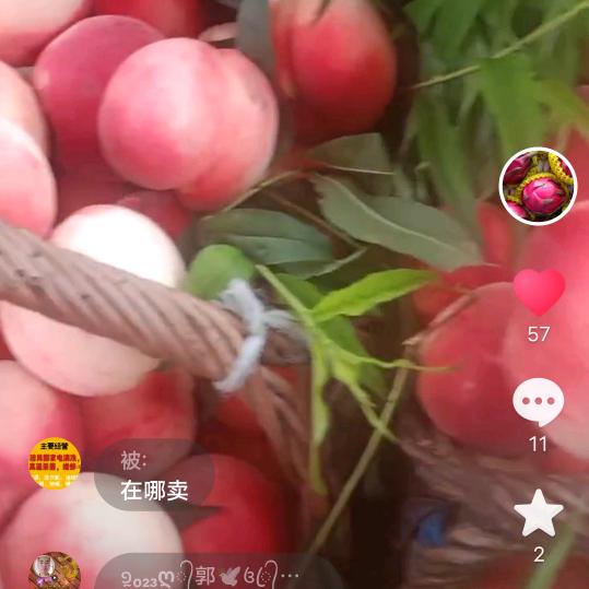 追梦人，桃哥
