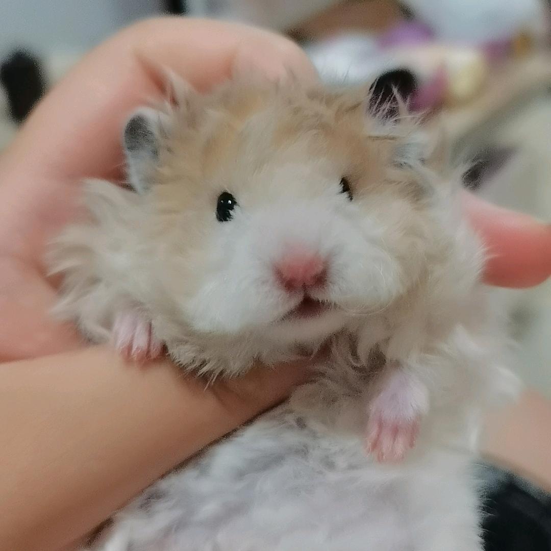 雨后彩虹