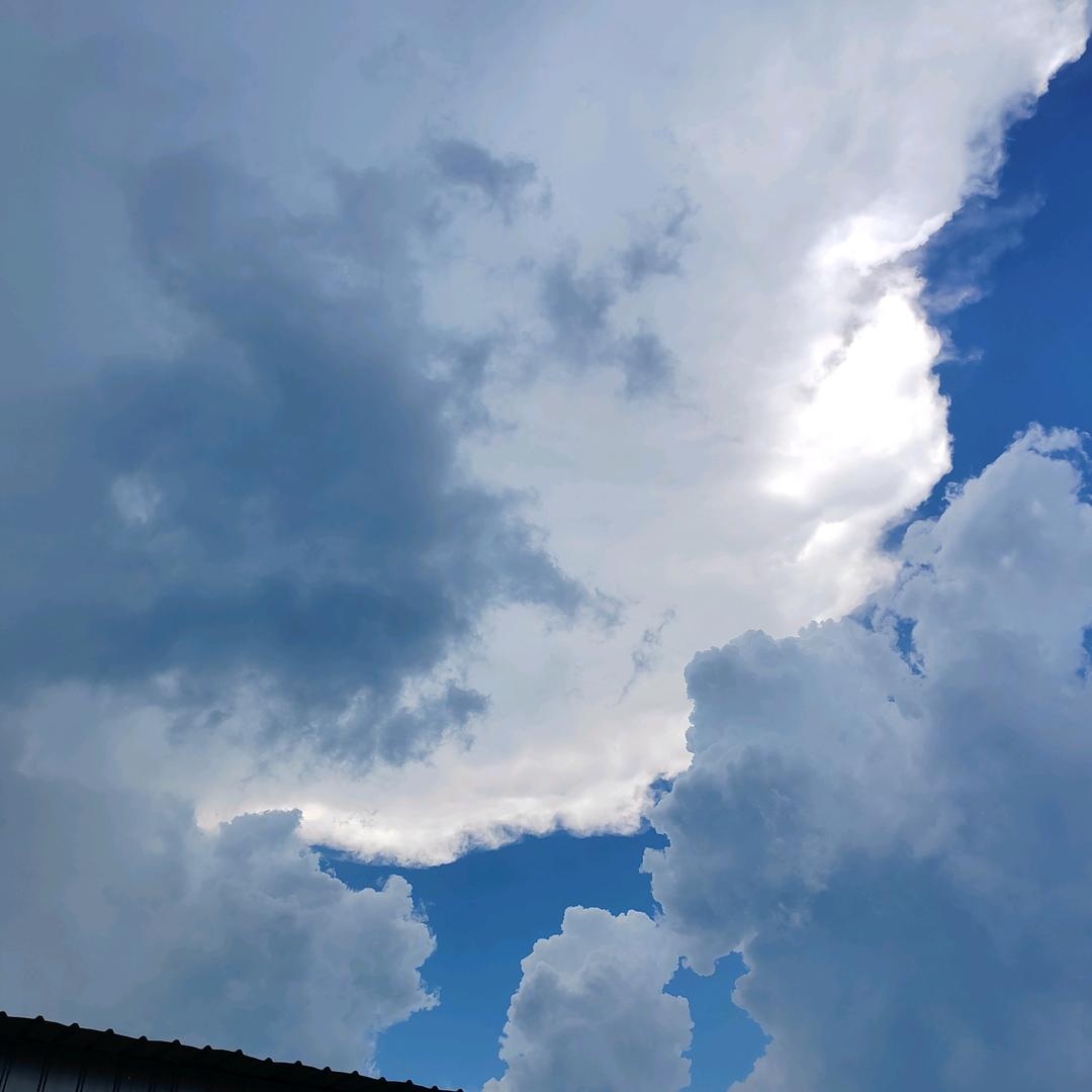 有趣的灵魂，无趣的人生