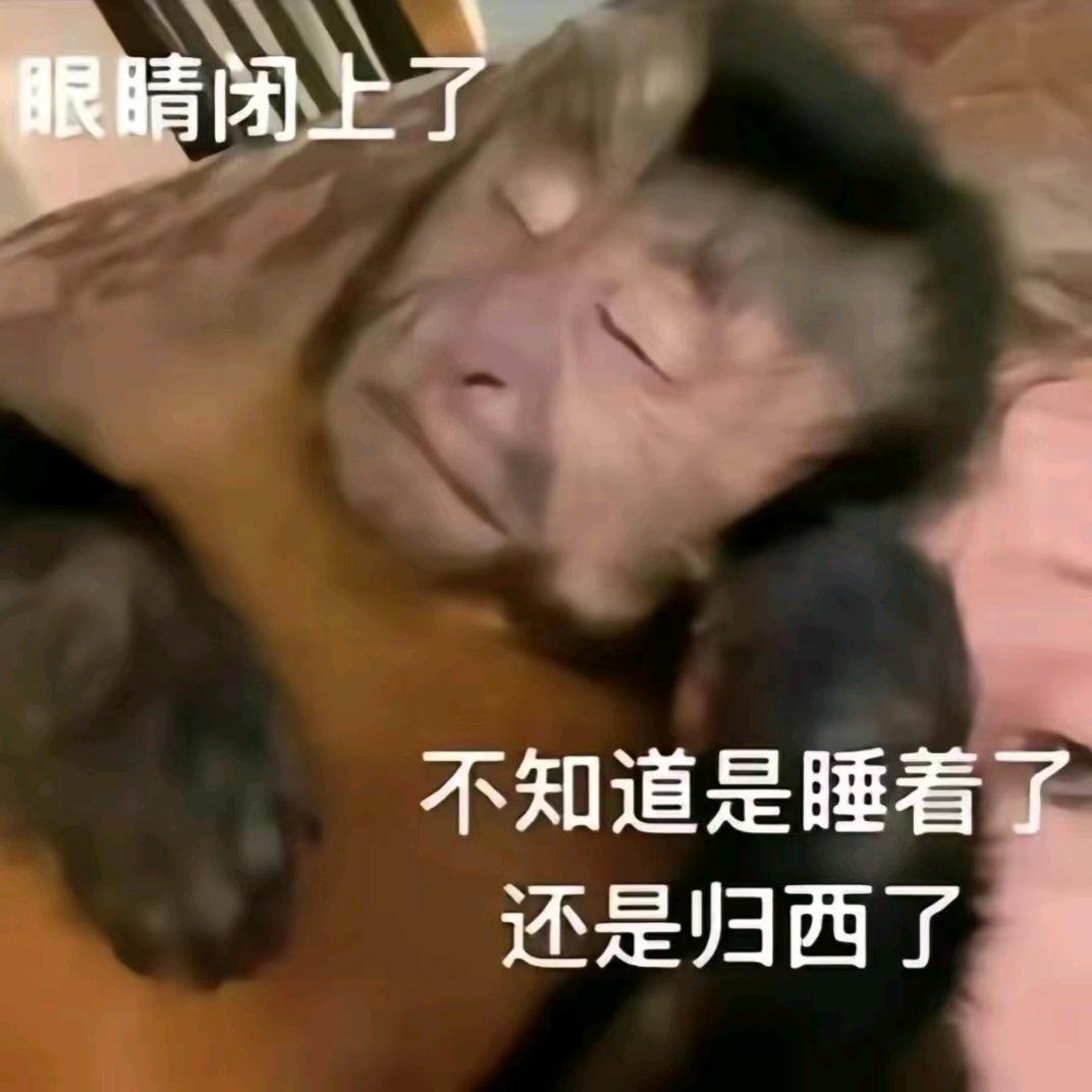 我在人间凑数的日子