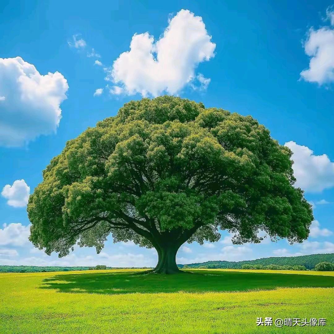千山暮雪