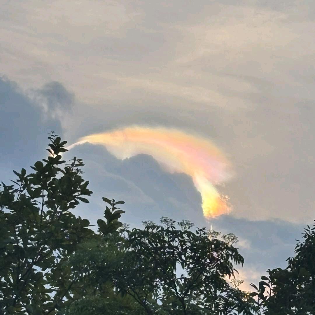 六盘水思怀共享小菜园