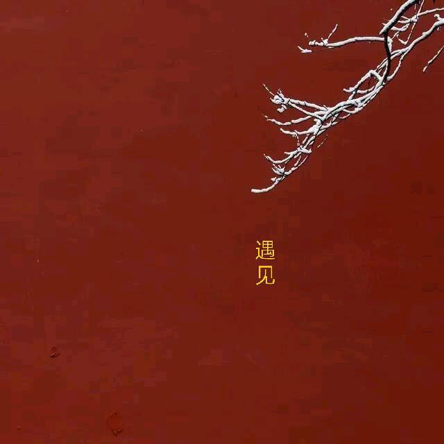 遇 见