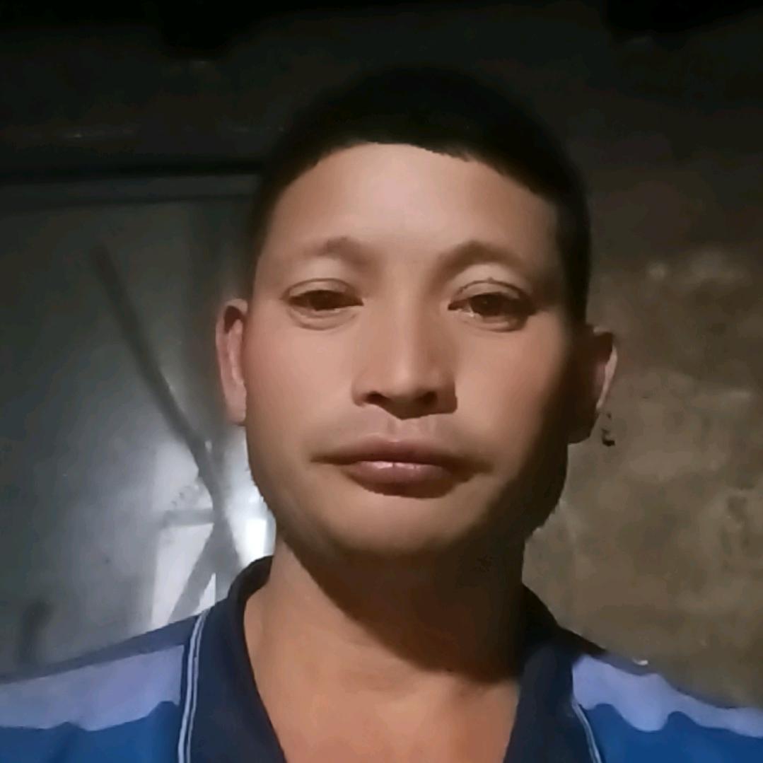 一网情深