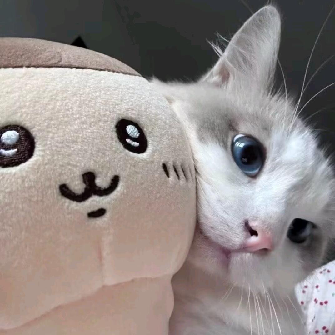 麻辣豆角.