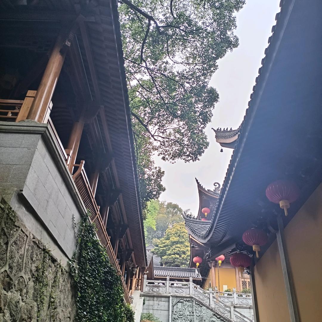 八零后的我。