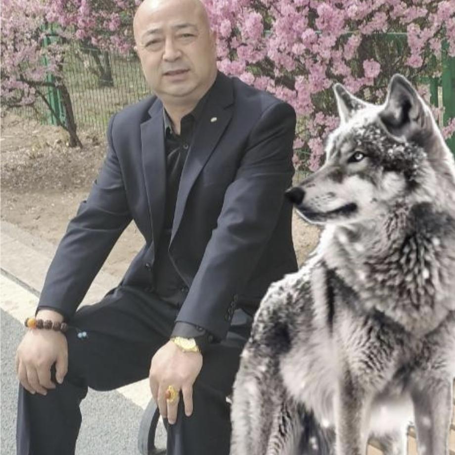 狼行天下（四阿哥）