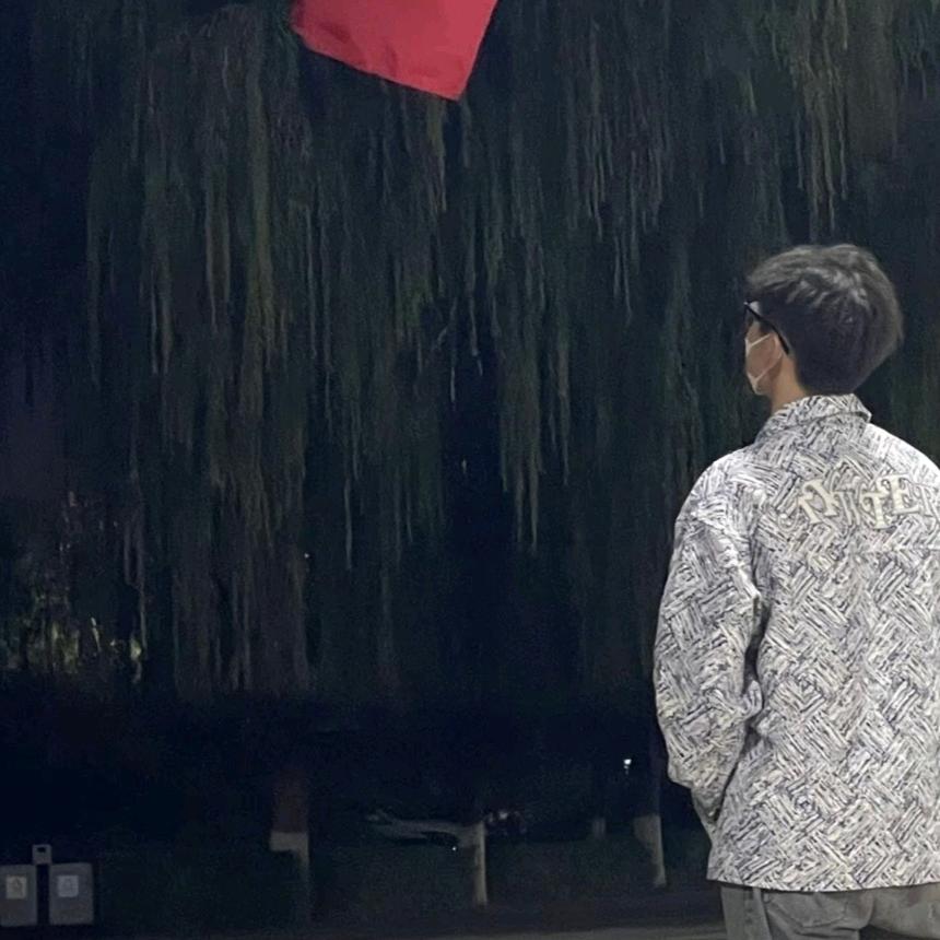張辰