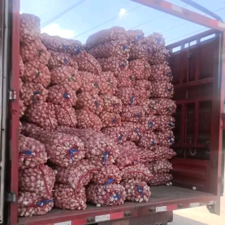 黄村老刘（专收早熟蒜）