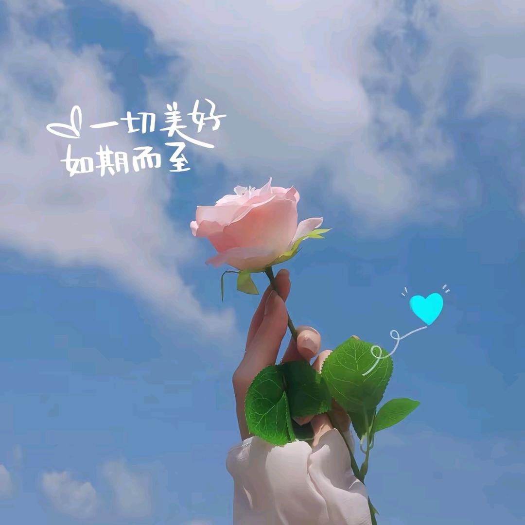 呵哈