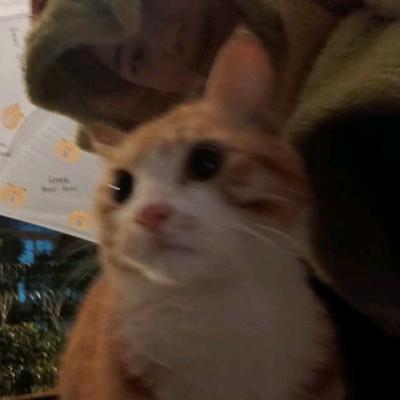没离开过