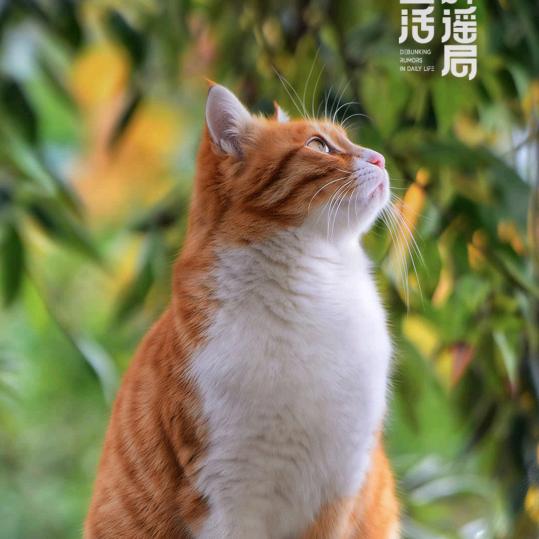 明天更美好