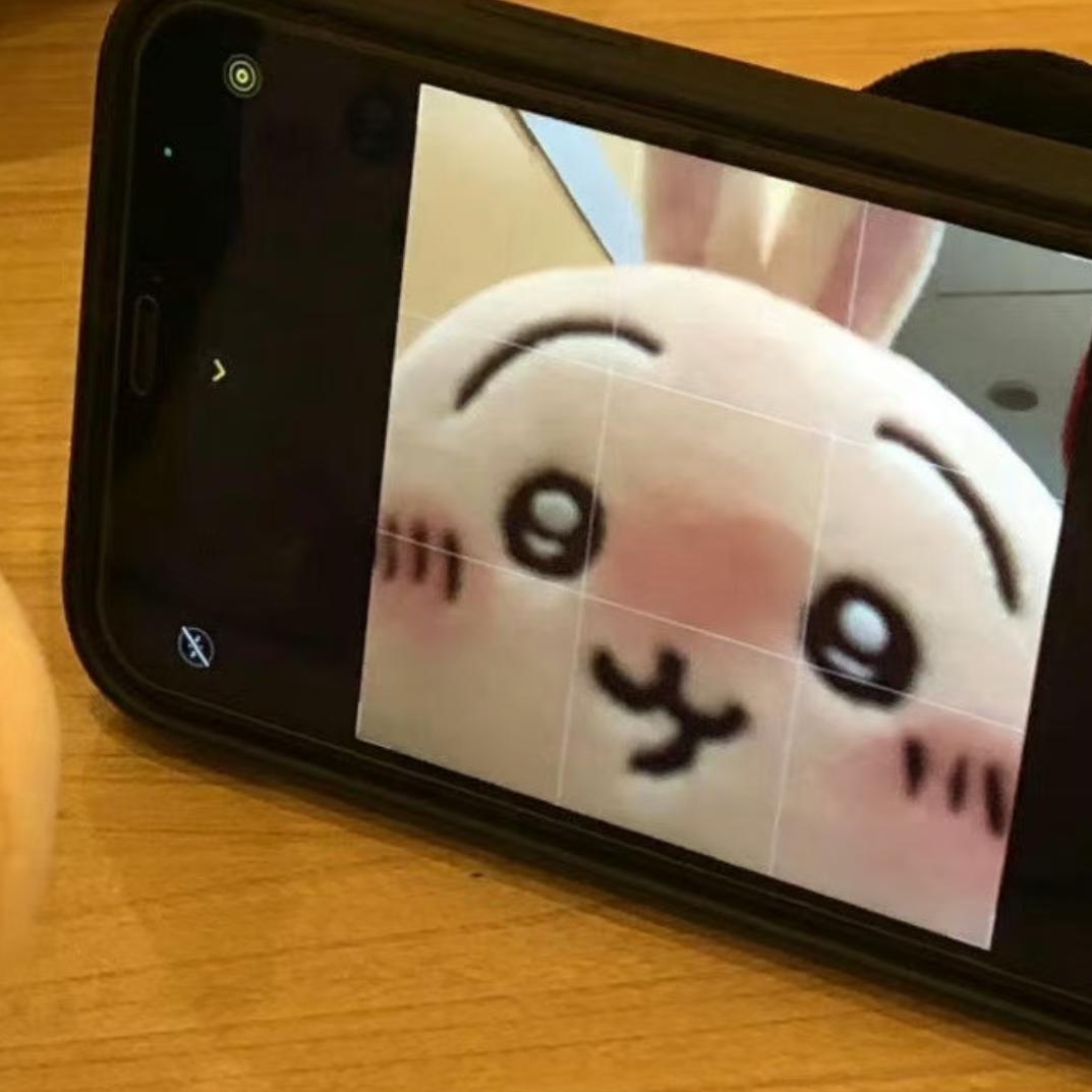 菠萝大王