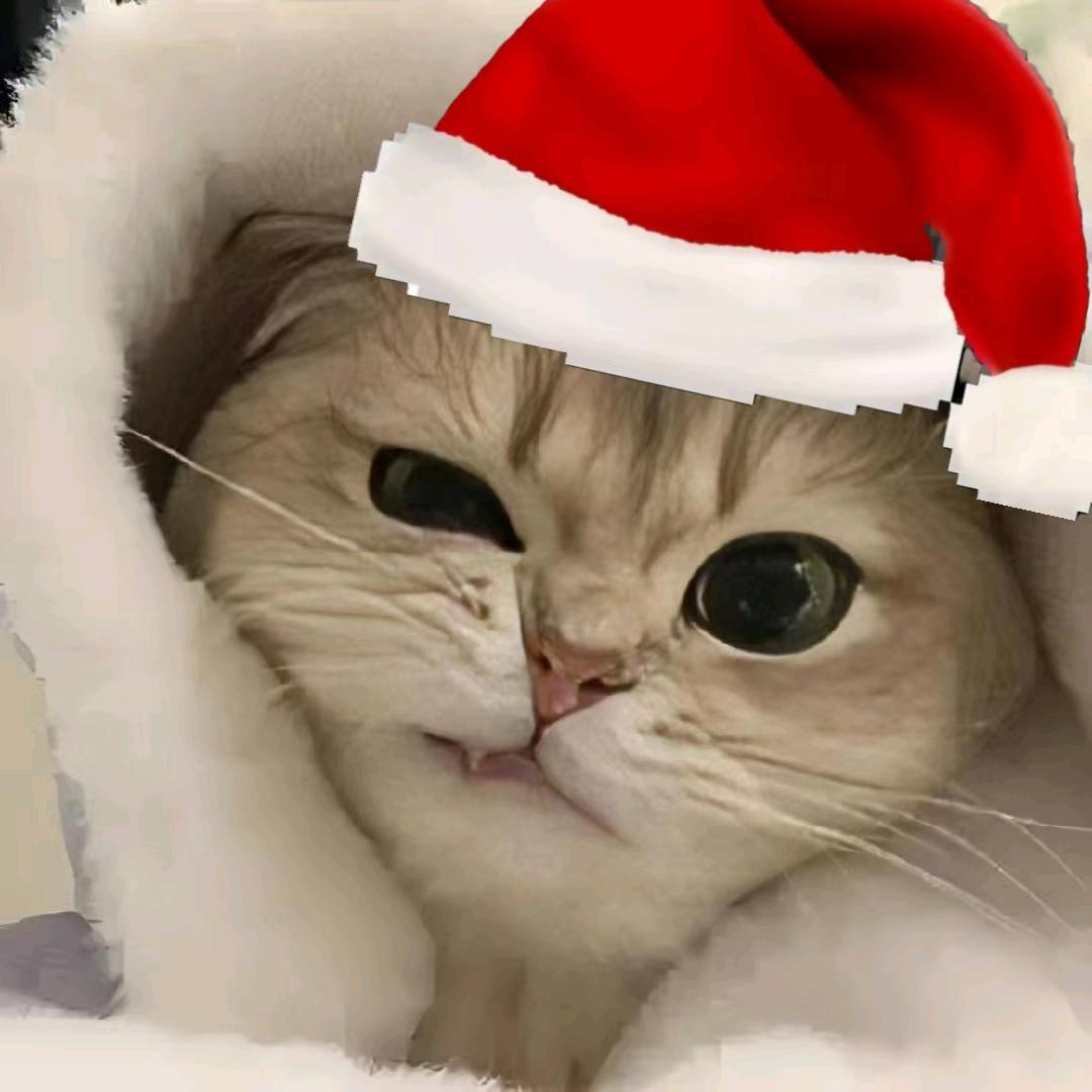 慕溪望🎨🎼🎸