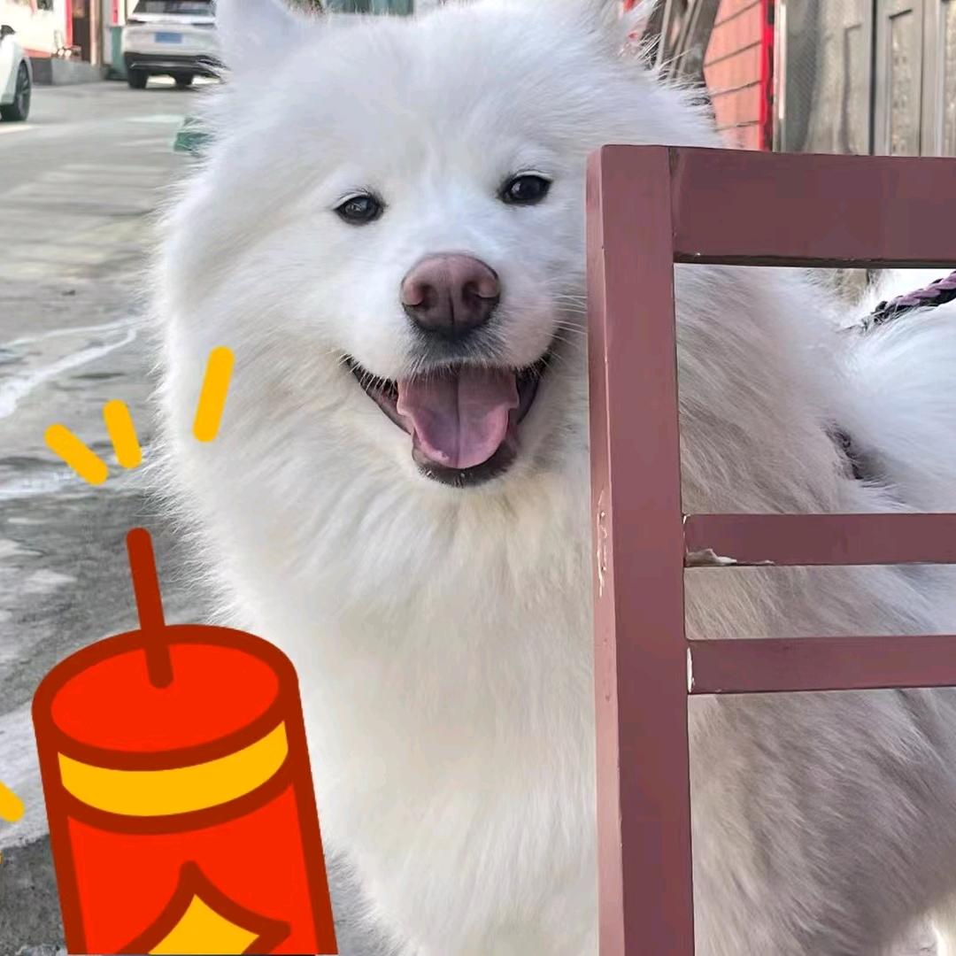 阿俞