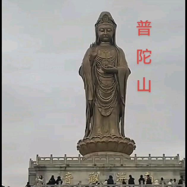 🌹上海🍁