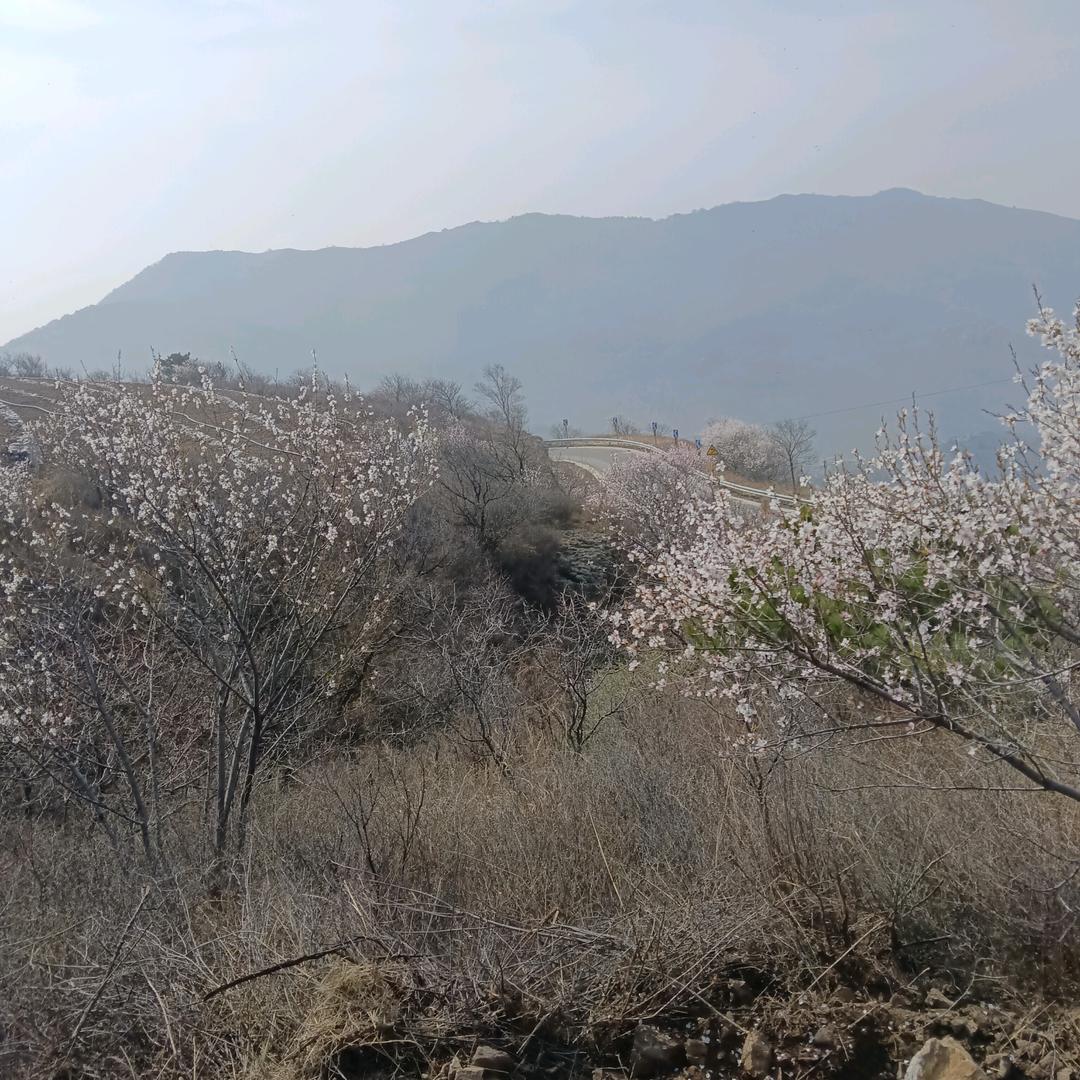 根宝