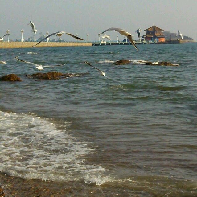 🦋有你就够🦋