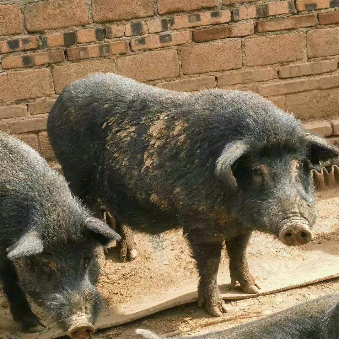 高品质看得见