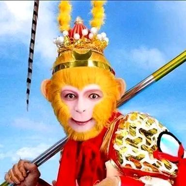 一条龙