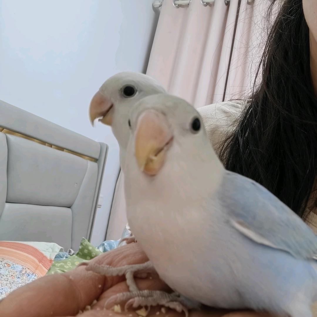 李小焦干货小铺