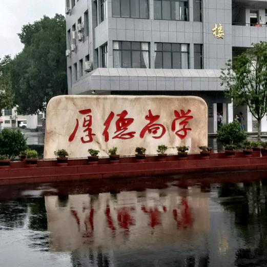 卡车司机彪哥