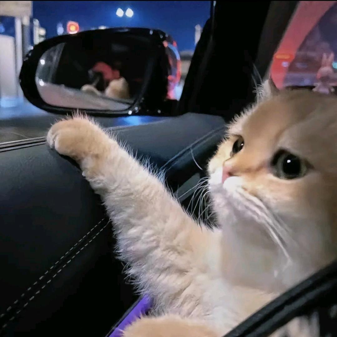 ㅤㅤㅤㅤㅤㅤㅤㅤㅤㅤㅤㅤㅤㅤㅤㅤ。。。