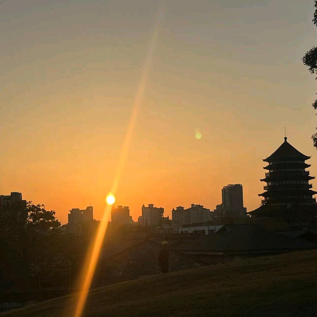 何必太多情