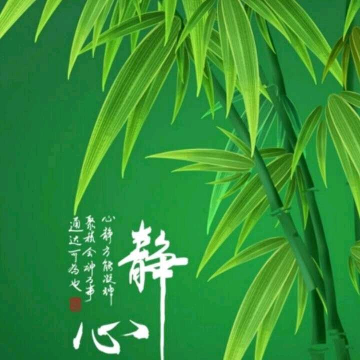 博客归来