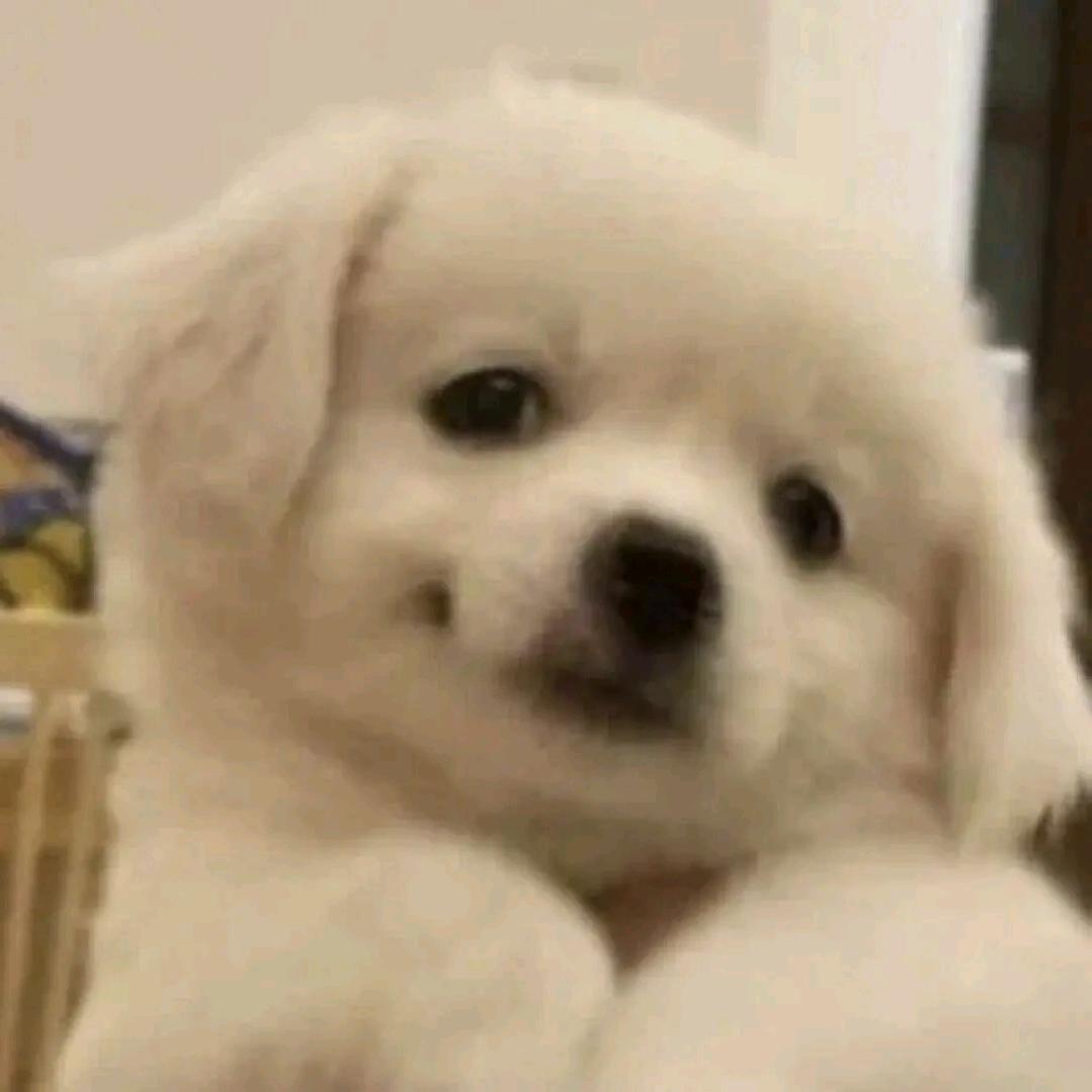 你是不是尔多隆了