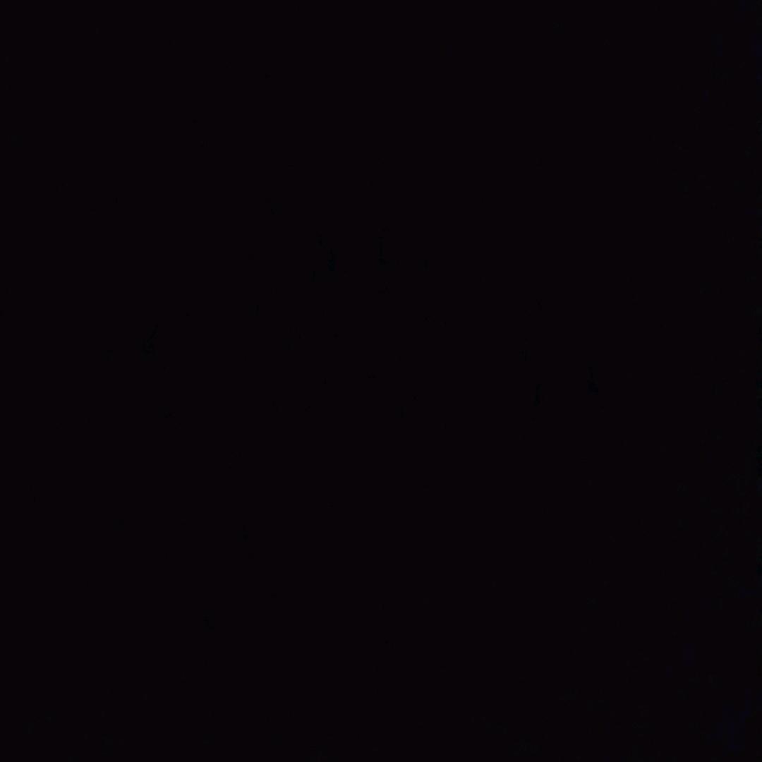 💓芋泥泡泡 🕊