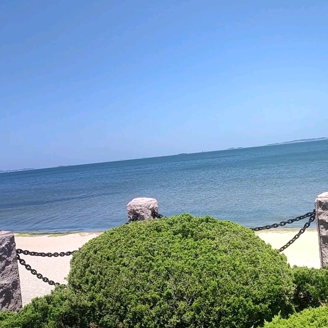 宋哥