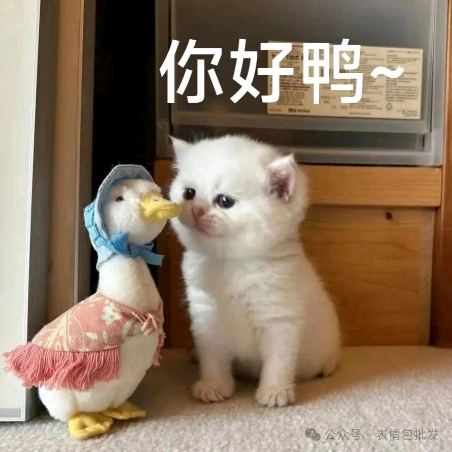 大耳朵萝卜