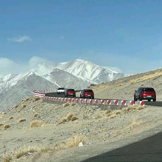 一身傲骨不低头