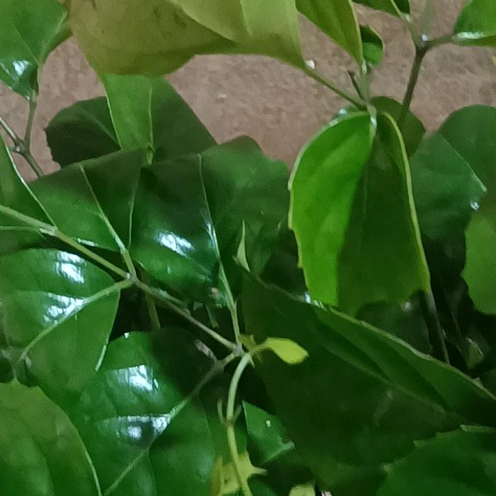 梅梅好物分享