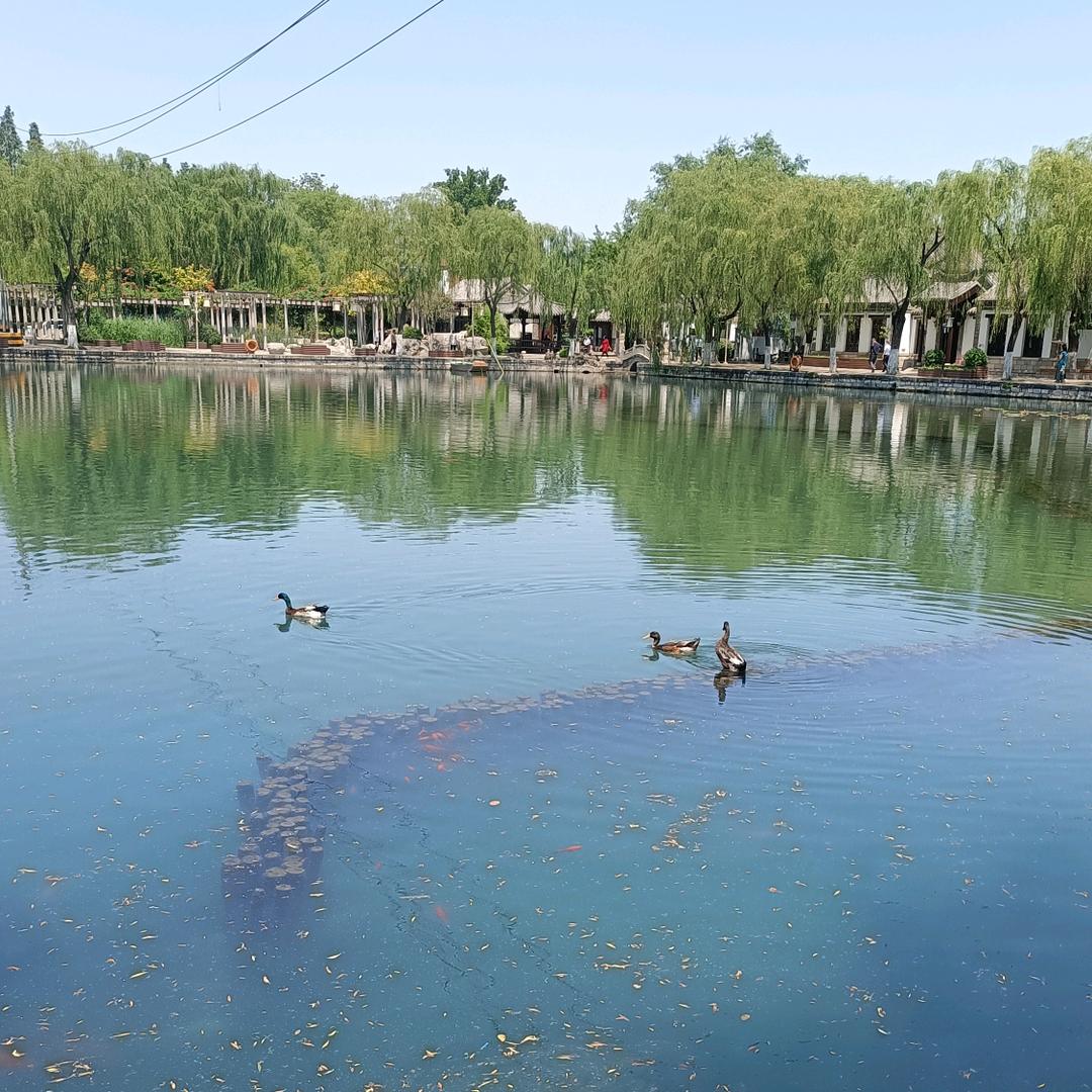 ໑ຼღ᭄终点🕊꧔