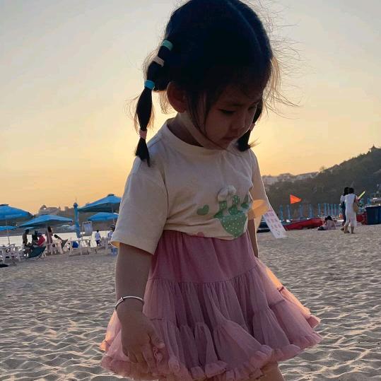 口袋妹妹