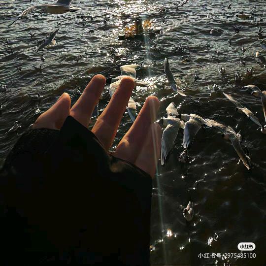 生意经