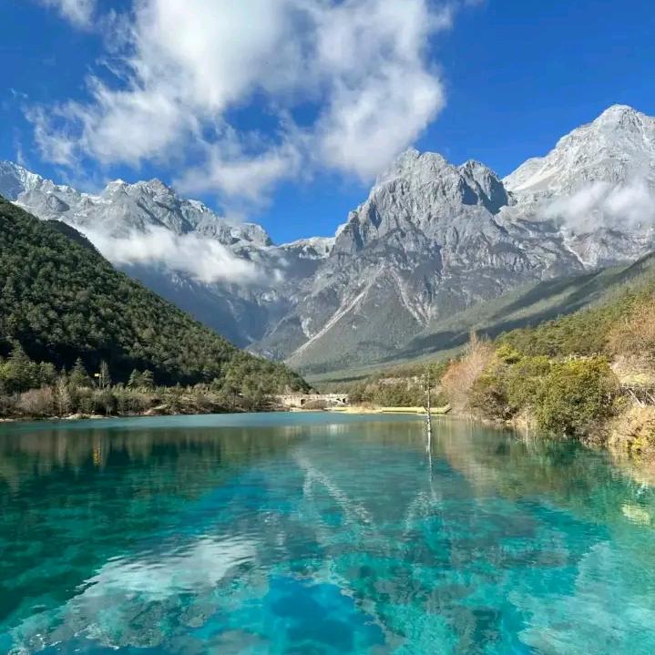 淡然于心🐢🐢🐢🐢🐢